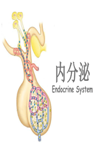 内分泌生理