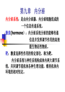 生理学--内分泌