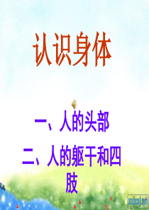 北师大版二年级语文上册课件：丁丁冬冬学识字(二)