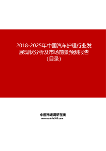 2019-2025年中国汽车护理行业发展现状分析及市场前景预测报告目录