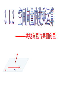 3.1.2空间向量数乘运算