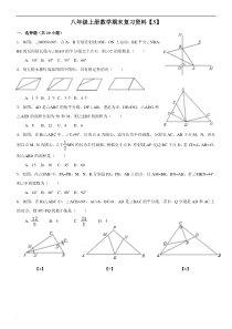 八年级上册数学期末复习资料拔高题答案