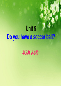 unit5do-you-have-a-soccer-ball-的重难点及语法汇编