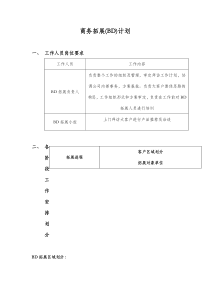 商务拓展(BD)计划