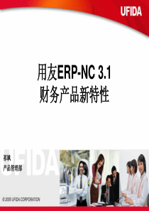 用友ERP-NC 3.1财务产品新特性