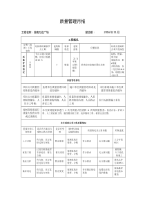 11月质量管理月报