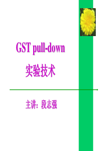 GST-pull-down实验技术