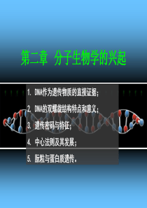 遗传学第二章-分子遗传学的兴起