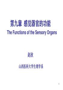 生理学课件-感官-赵欣-本科-2