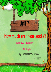 unit7How-much-are-these-socks-section-B公开课(很好)