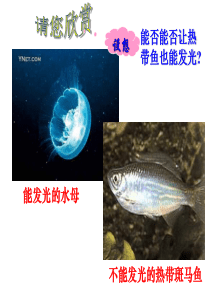 高中生物必修二--基因工程及其应用