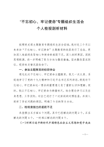 2019年党支部专题组织生活会个人检视剖析材料