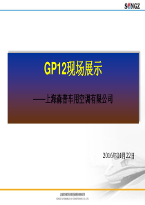 GP12现场(模版)