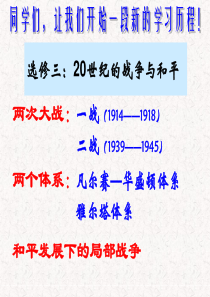 人教版选修三1.1第一次世界大战的爆发课件(共25张PPT)