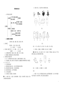 图形的初步认识知识点-及线段习题