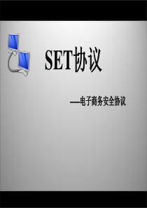 SET协议解析