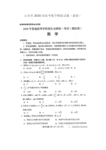 山东省2020届高考数学模拟试题-附答案(最新)