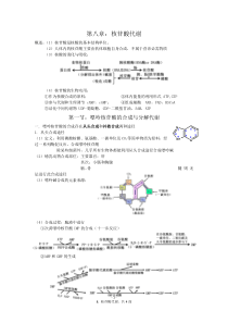 核苷酸代谢总结