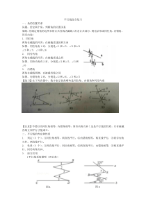 平行线综合复习