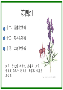 植物化学----萜类生物碱