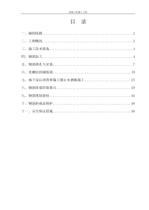 彩苑钢筋工程施工案