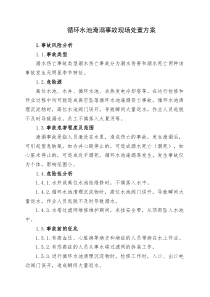 17.循环水池淹溺事故现场处置方案