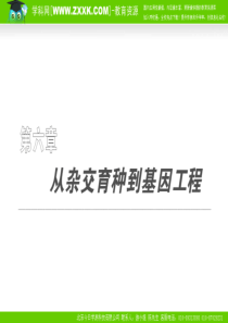 必修二 第六章 从杂交育种到基因工程