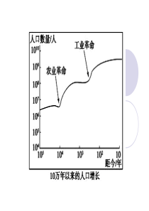 1.1人口金字塔与三角坐标图