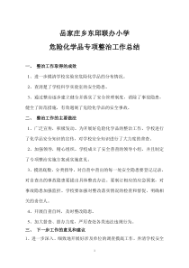 危险化学品专项整治工作总结