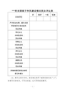 党支部班子作风建设情况民主评议表