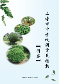 上海市中学校园植物图鉴