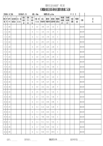 打桩施工记录XXXX1024-1117