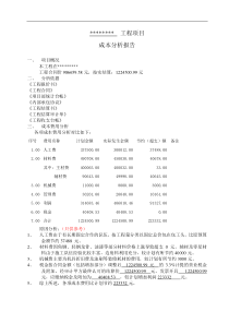 工程项目成本分析报告