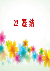 22《凝结》课件