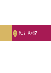 优秀教案—《从种到界》课件