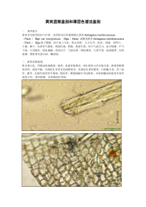 黄芪显微鉴别和薄层色谱法鉴别