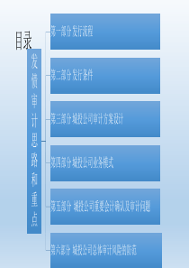 发债审计思路和重点