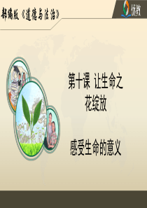 《感受生命的意义》名师课件