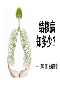 结核病防治主题班会(实用)