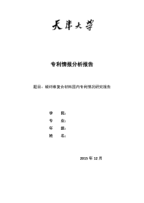 专利分析报告模板(碳纤维复合材料的应用)