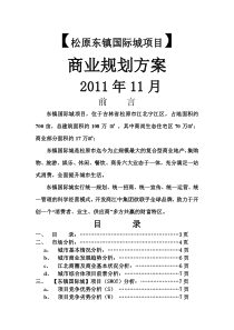 松原东镇国际城项目运营方案