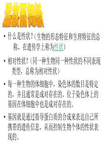 八年级生物性状遗传有一定的规律性