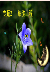 植物细胞工程.ppt