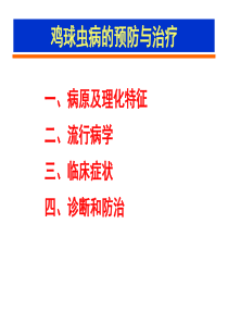 鸡球虫病的预防与治疗