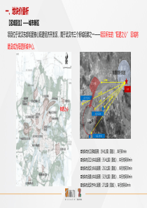 阳逻招拍挂项目《新力投资分析报告》(1)