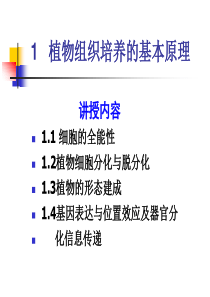 植物组织培养的基本原理分析