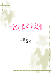 2014中考复习课件_一元一次方程和二元一次方程组