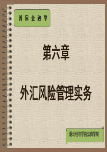 第六章 外汇交易风险管理实务