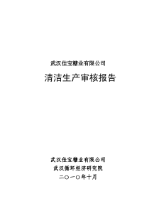 案例7-武汉佳宝糖业有限公司清洁生产审核报告