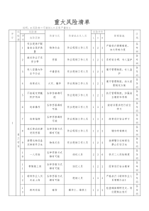 重大风险清单